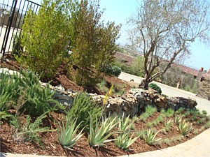 Landscape Services, Encinitas, CA